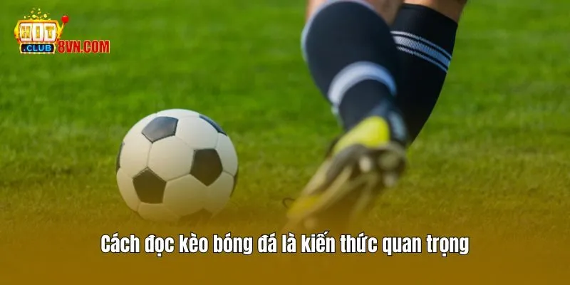 Cách Đọc Kèo Bóng Đá Chuẩn Để Trở Thành Cao Thủ Tại Hitclub 2 Cách đọc kèo bóng đá là kiến thức quan trọng